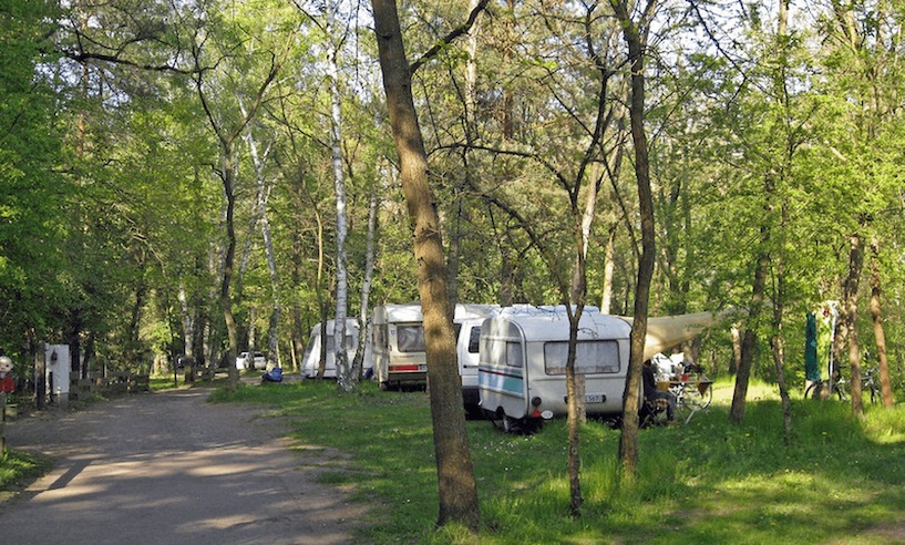 Der Naturcampingplatz am Möhlauer See hat viele schattige Stellplätze. Wohnmobil, Möhlauer See, Campingplatz, Urlaub, Stellplatz, Wald, Reise